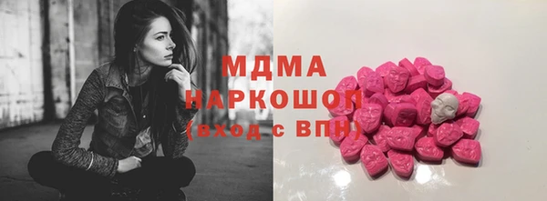 СК Алексин