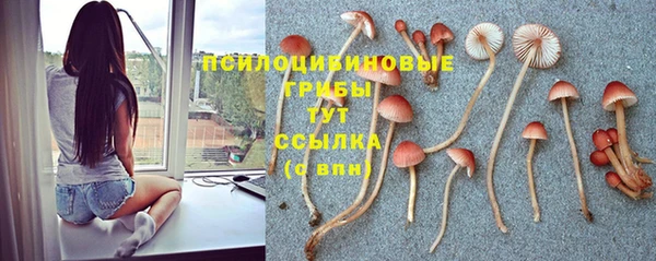 СК Алексин