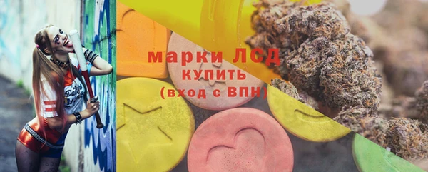 СК Алексин