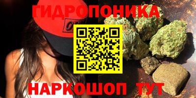 apvp Владикавказ
