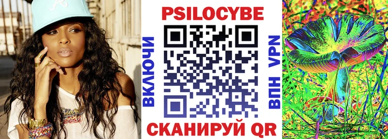наркошоп  Копейск  Псилоцибиновые грибы Psilocybine cubensis 