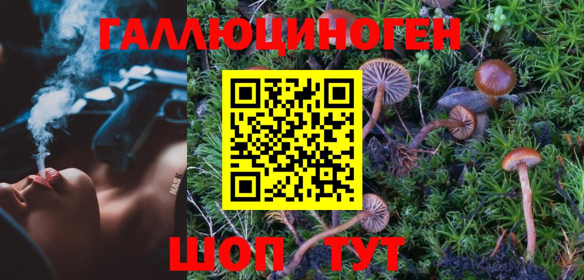 Копейск  Галлюциногенные грибы мухоморы  Вход с VPN 